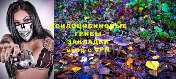 крисы Алзамай
