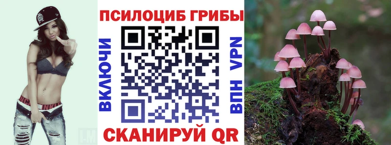 площадка какой сайт  Анива  Галлюциногенные грибы Psilocybe 
